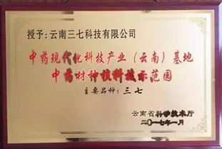 集團(tuán)旗下三七科技榮膺中藥材領(lǐng)域兩項權(quán)威認(rèn)定，技術(shù)咨詢助力中草藥產(chǎn)業(yè)高質(zhì)量發(fā)展